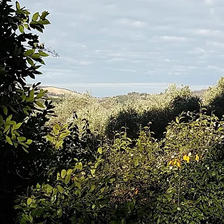 Villa Idyllique Maison De Maitre Dans Les Collines De Pesaro Entre Urbino Et La - Rina