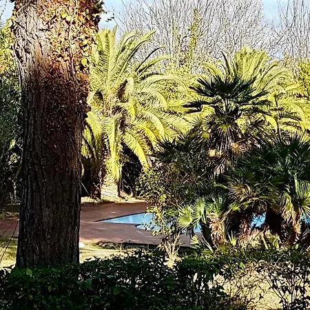 Idyllique Maison De Maitre Dans Les Collines De Pesaro Entre Urbino Et La - Rina *