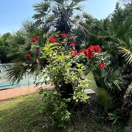 别墅 Idyllique Maison De Maitre Dans Les Collines De Pesaro Entre Urbino Et La - Rina *