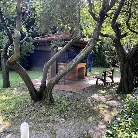 Idyllique Maison De Maitre Dans Les Collines De Pesaro Entre Urbino Et La - Rina La Torraccia