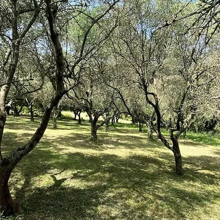 Villa Idyllique Maison De Maitre Dans Les Collines De Pesaro Entre Urbino Et La - Rina La Torraccia